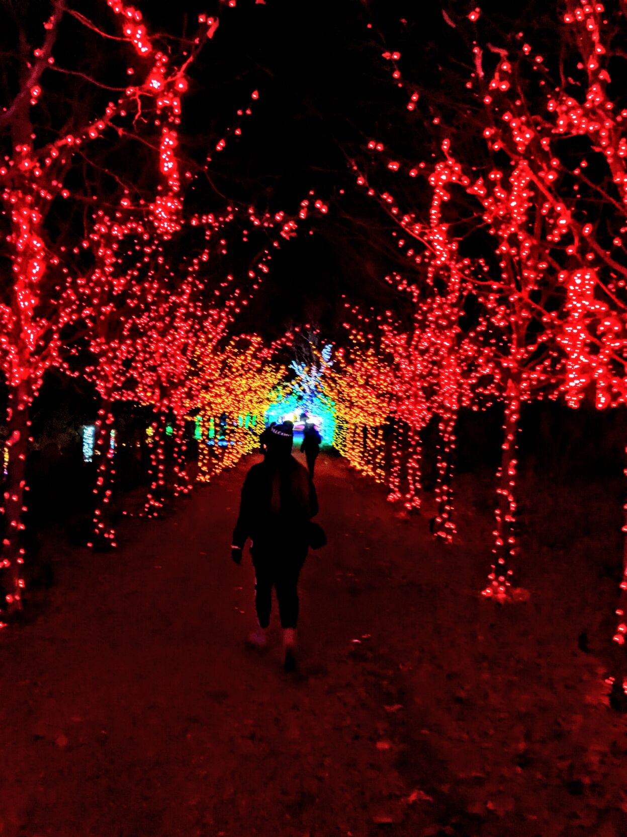 Naumkeag-RainbowRoad1.jpg